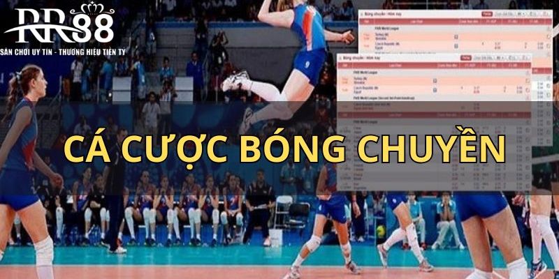 Sơ lược về cá cược bóng chuyền