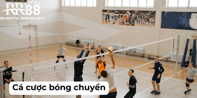 Một số kinh nghiệm soi kèo bóng chuyền hiệu quả từ cao thủ