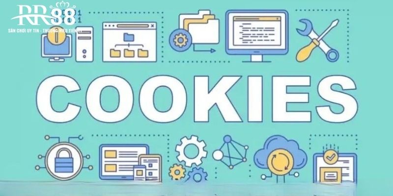 Ưu điểm của điều khoản cookie của nhà cái là gì?