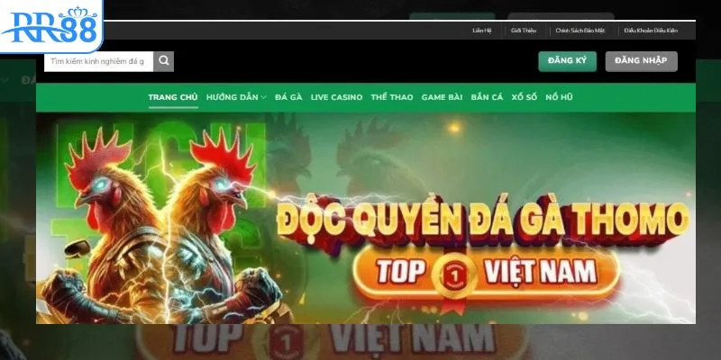 E2BET đá gà sôi động trò chơi phong phú tỷ lệ thưởng cao